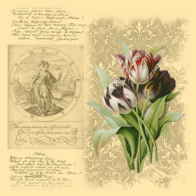 Minimalism is letting go