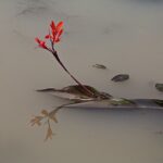 How To Restart Again when you Stopped a Habit?