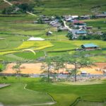 Paano malilipat ang titulo ng lupa kapag may namatay na kamag-anak?