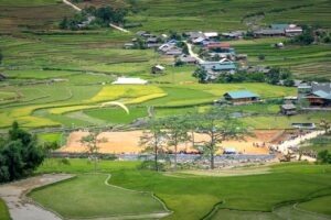 Paano malilipat ang titulo ng lupa kapag may namatay na kamag-anak?